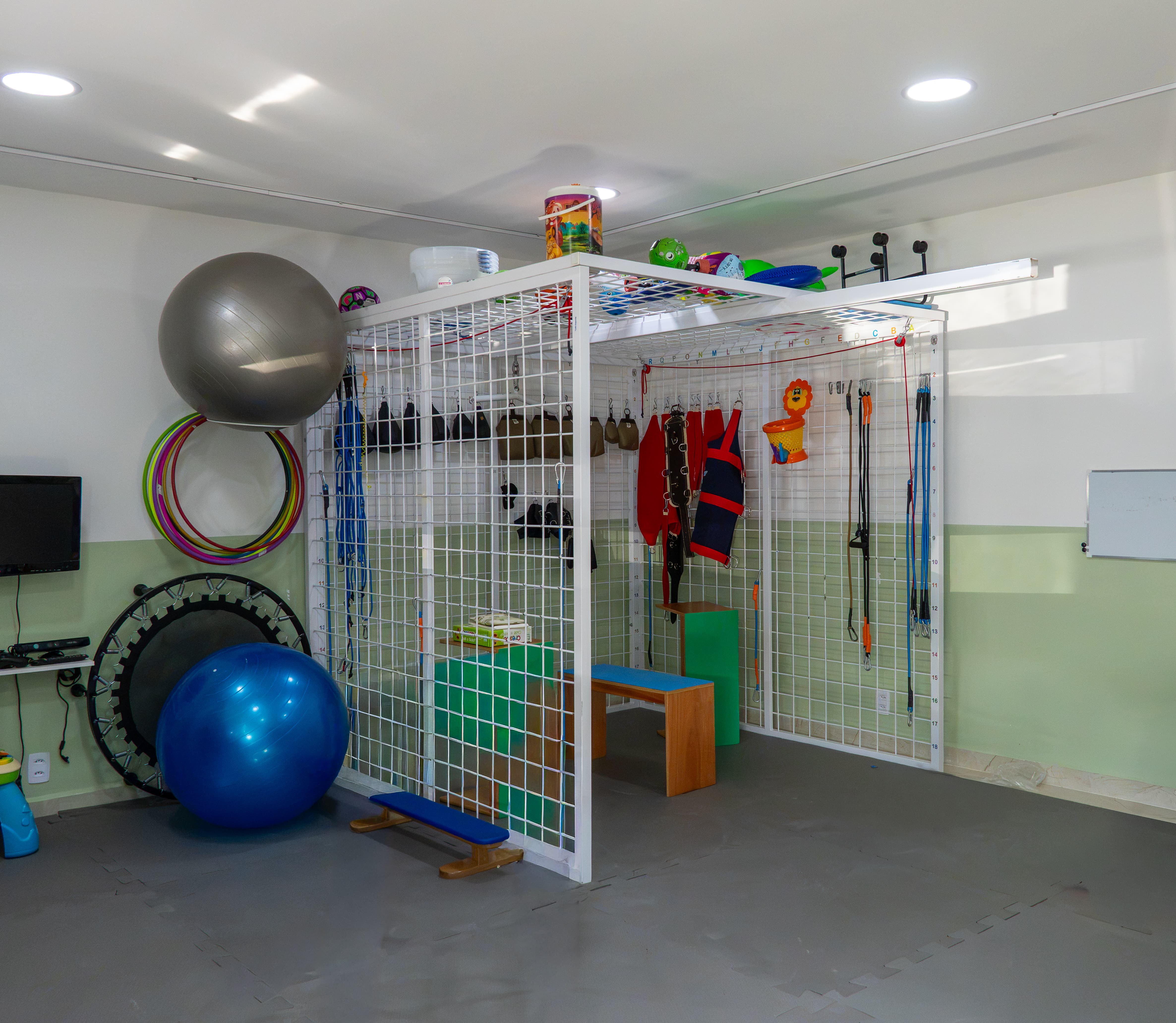 Fisioterapia Motora 2